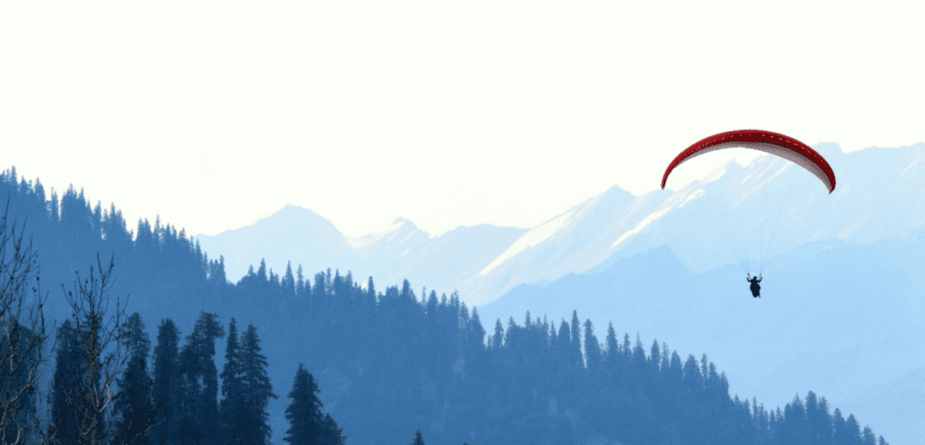 Why No-Shows Are Costing Adventure Businesses